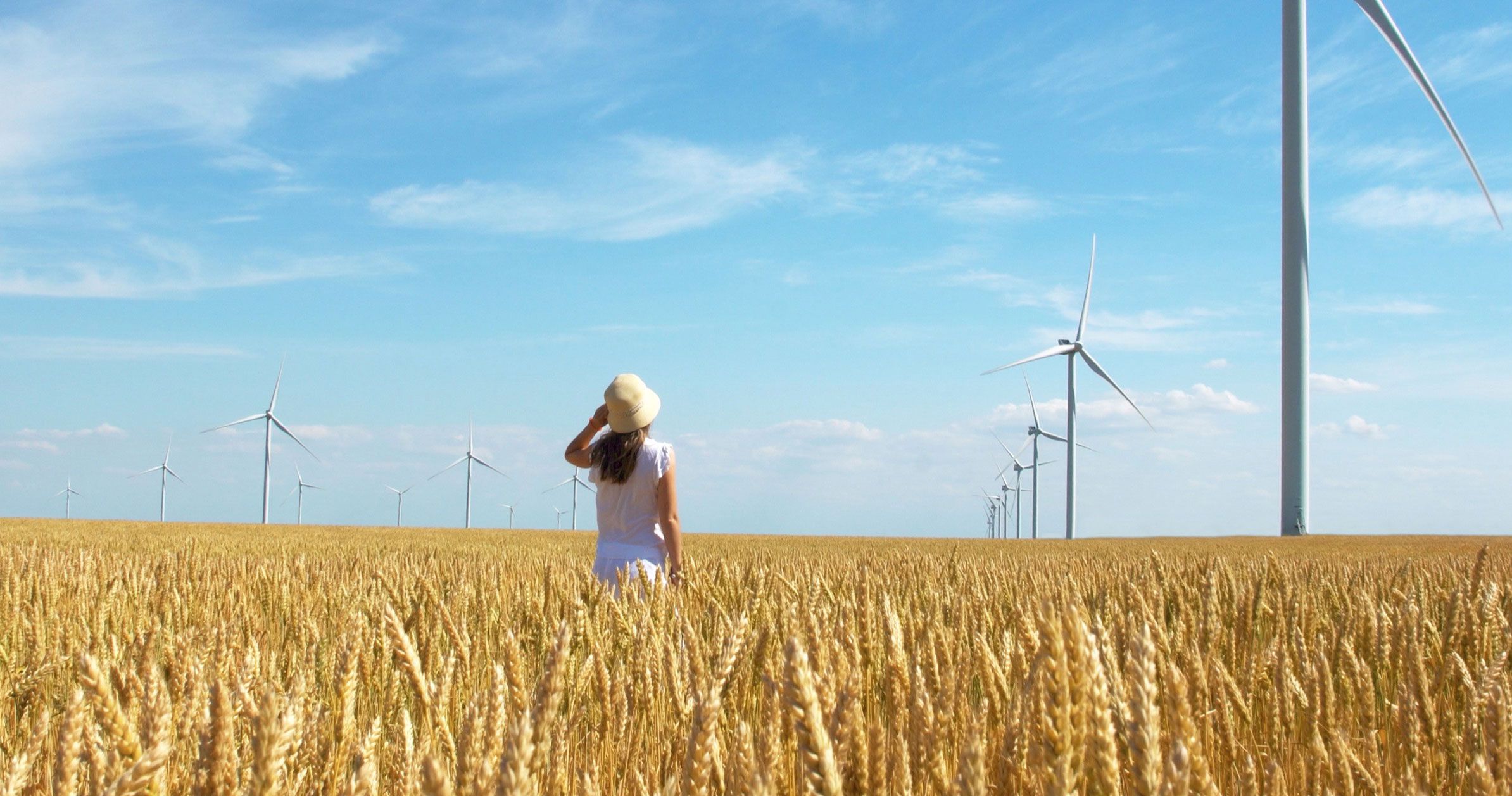 Woman standing in wheat fields with windmills that generate sustainable energy.